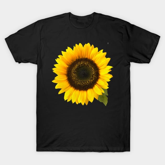 Sunflower T-Shirt by dodgerfl
